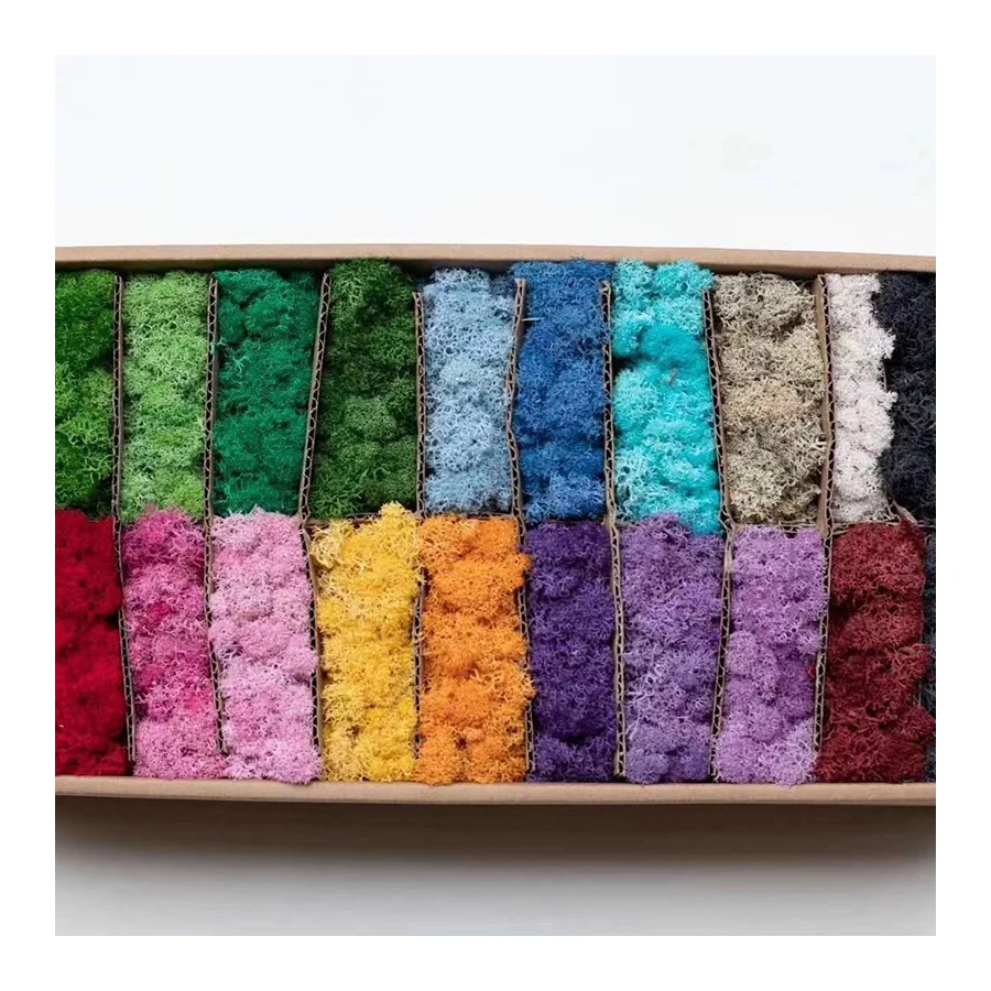 
Chinese supplier new products preserved Moss flower for Wall decoration 