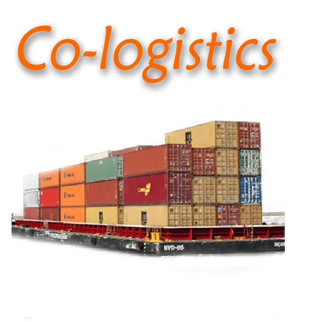 China Sea Shipping door to door service DDP Ningbo to GERMANY