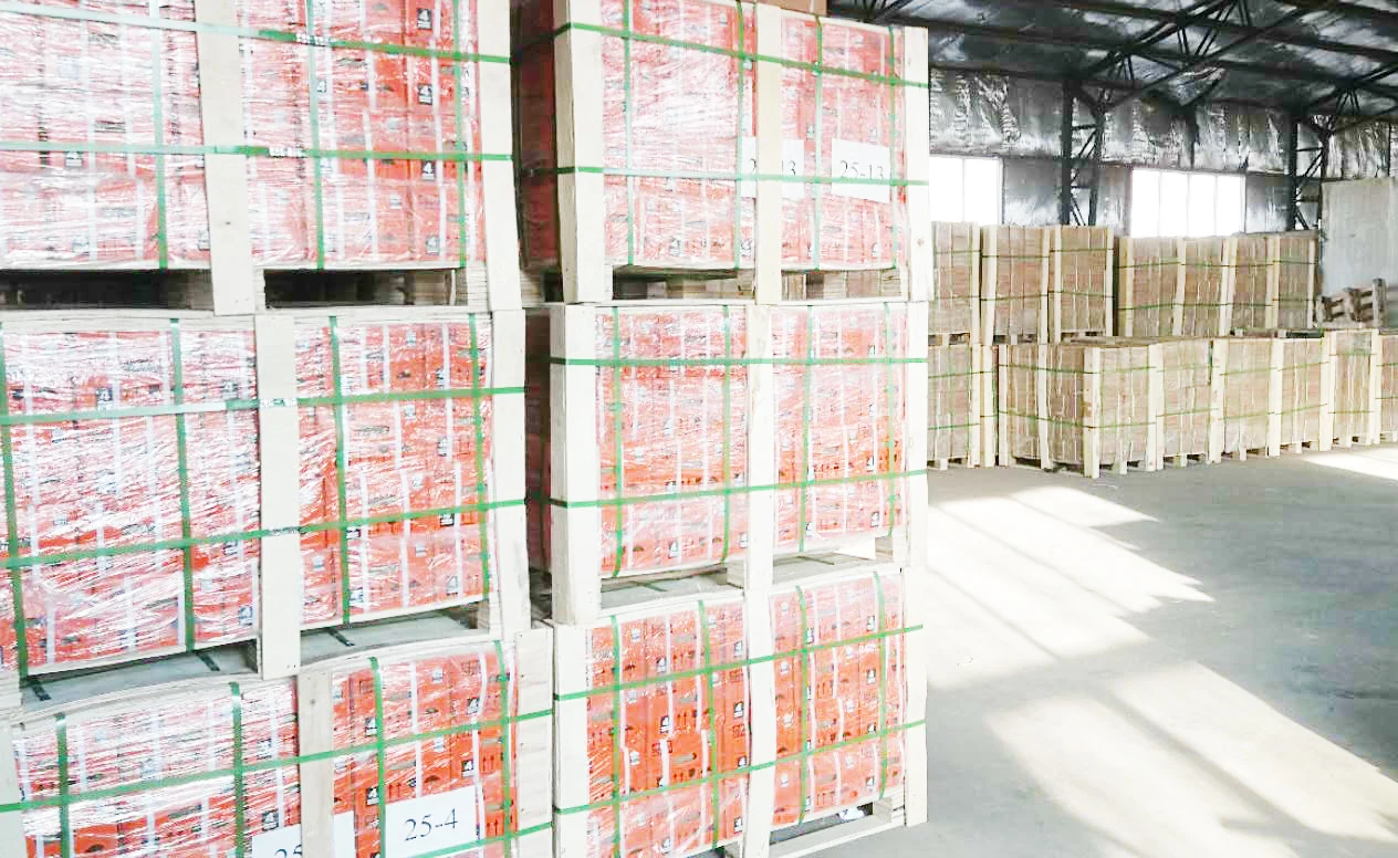 Best Quality6x30x13mm plastic coated sealed bearings steel 606zz deep v groove guide pulley rail balldeep groove ball bearing6306