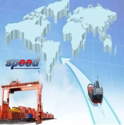 Cheapest Rates Order purchase service business  Collection service consolidation service