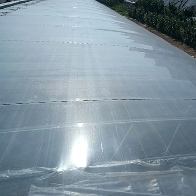 Flash Sale Agricultural Reinforced PE Plastic Film Roll Covering For Woven 200 Micron Greenhouse Plastic Film