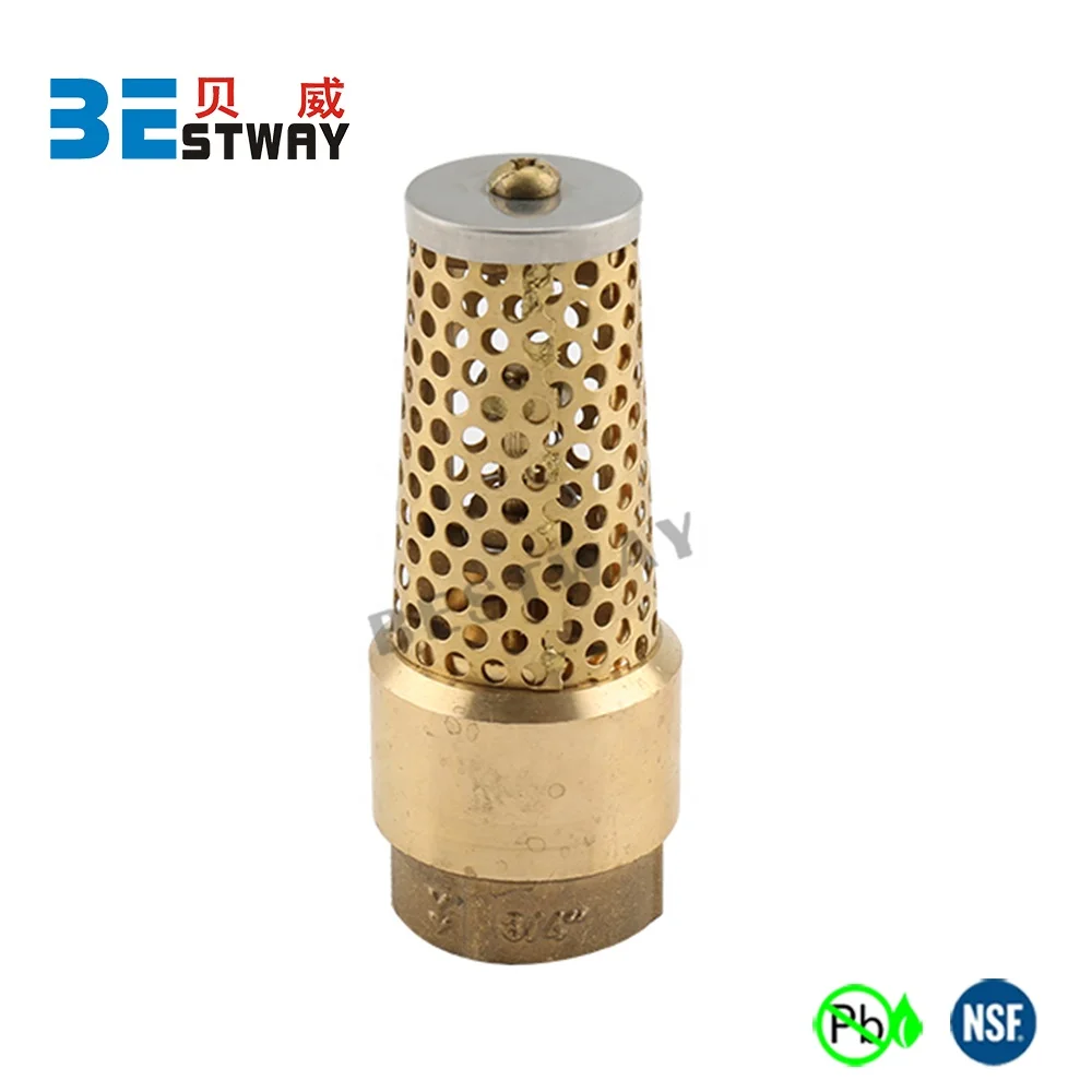 BMAG All Brass Material Water Pump Foot Valve