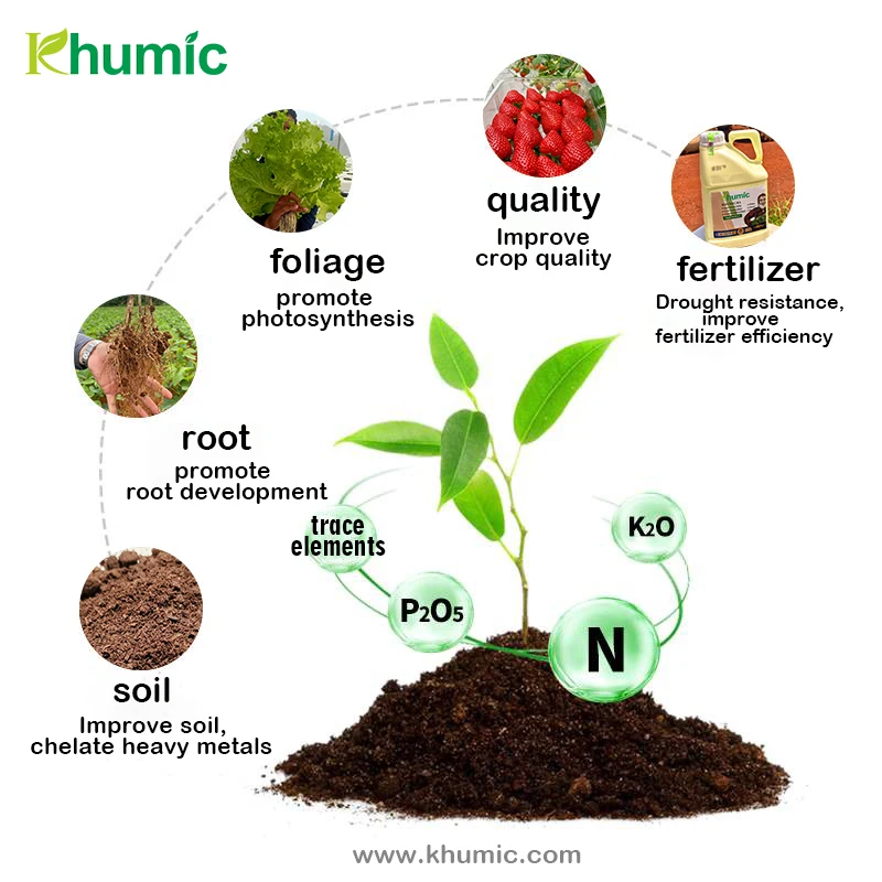 Super Potassium Humate organic fertilizer natural biostimulant leonardite fertilizer Super Humic Acid
