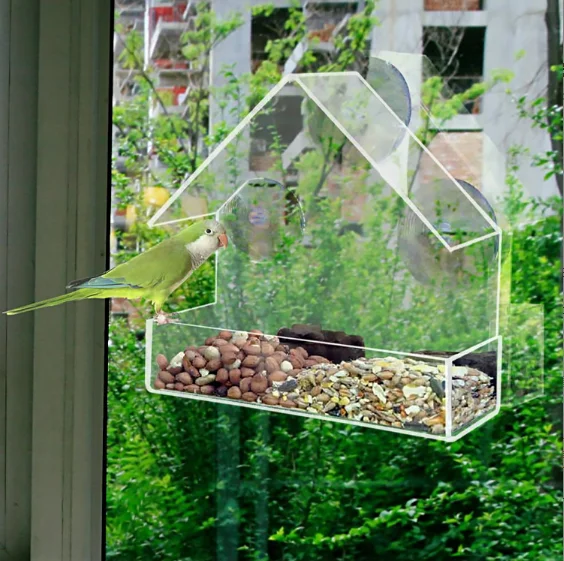 Outdoor suspended transparent bird nest