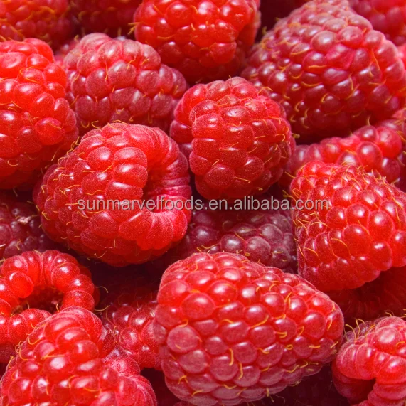 Frozen Raspberry whole and crumble Cultivated Variety with Cheap Price and Good Service