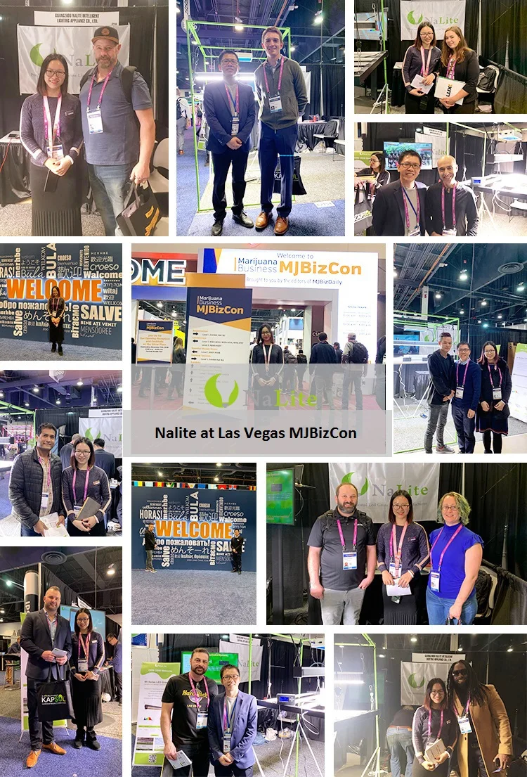 Nalite H2 commercial growing horticulture best sale LED+Grow+Lights Samsung led lm301 lm561c 640w 800w veg and flower bloom