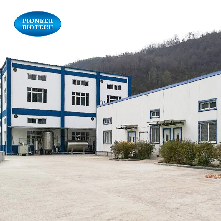 Factory Supply High quality Ginsenoside Panax Ginseng Root Extract
