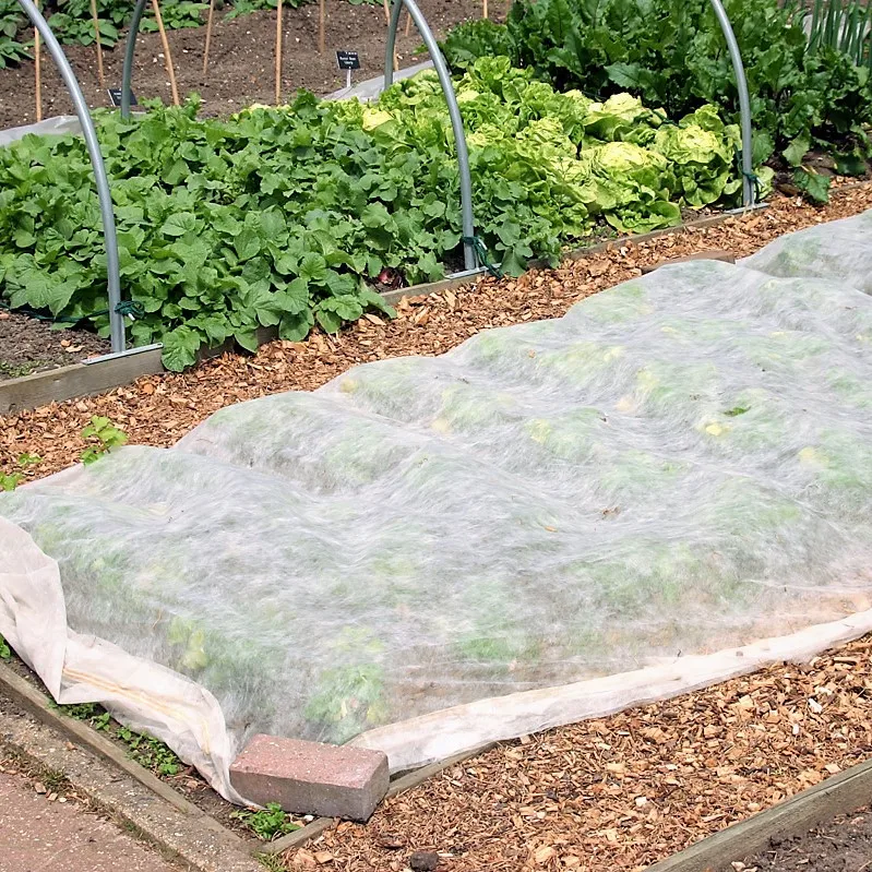 PP Spunbond Nonwoven Fabric Crop Plant Cover for Garden Agriculture Cover Non-woven Fabric Biodegradable Anti Frost Pests Damage