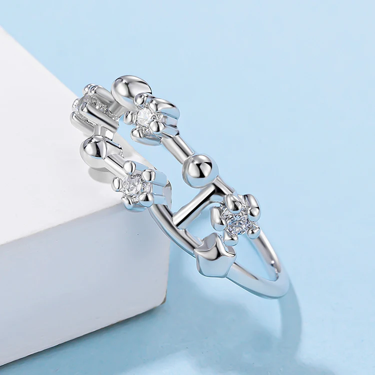 
OEM ODM 925 Sterling Silver Zircon Ring 925 Capricorn 12 Zodiac Sign Fashion Rings Jewelry Women 