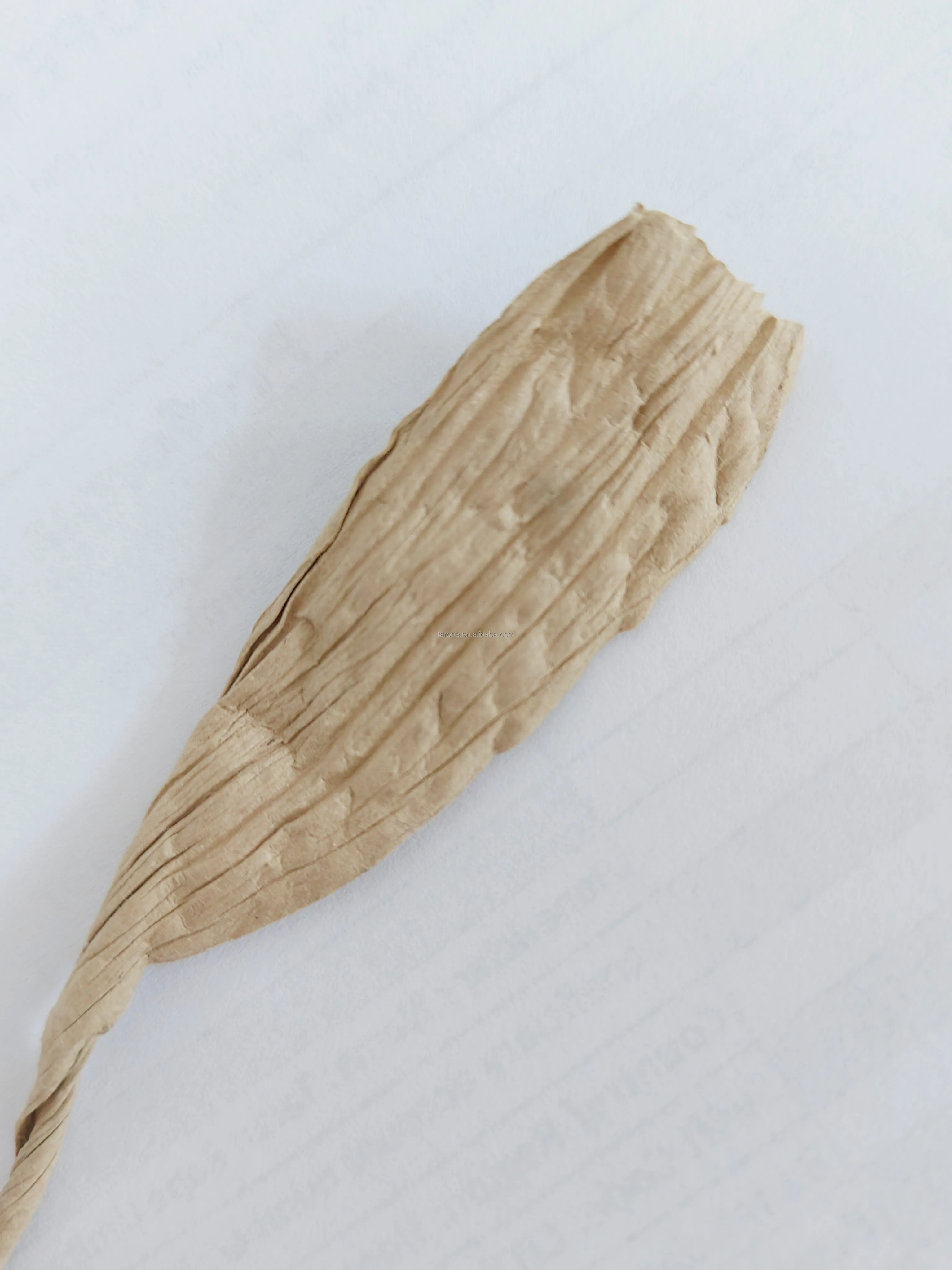 RIOOP Biodegradable Customized  Colored Raffia Paper Rope Raffia Ties Paper Twist Paper Twine Ribbon Garden DIY 1mm 2mm 3mm