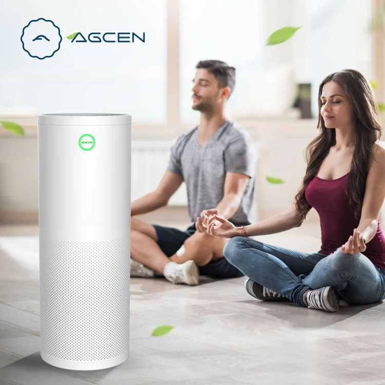 High Quality DC brushless silent Allergens odor PM2.5 Smoke remover ionizer air cleaner For Baby or Pregnant