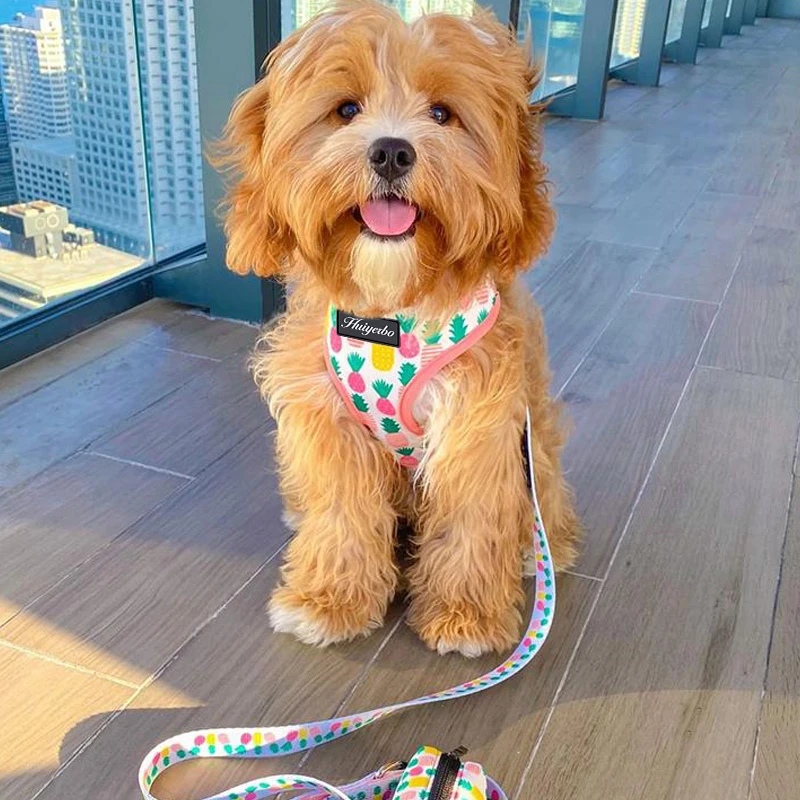 Модный дизайнерский Регулируемый мягкий Регулируемый ошейник для щенка с цветочным принтом, дизайнерская Роскошная шлейка и поводок для собак