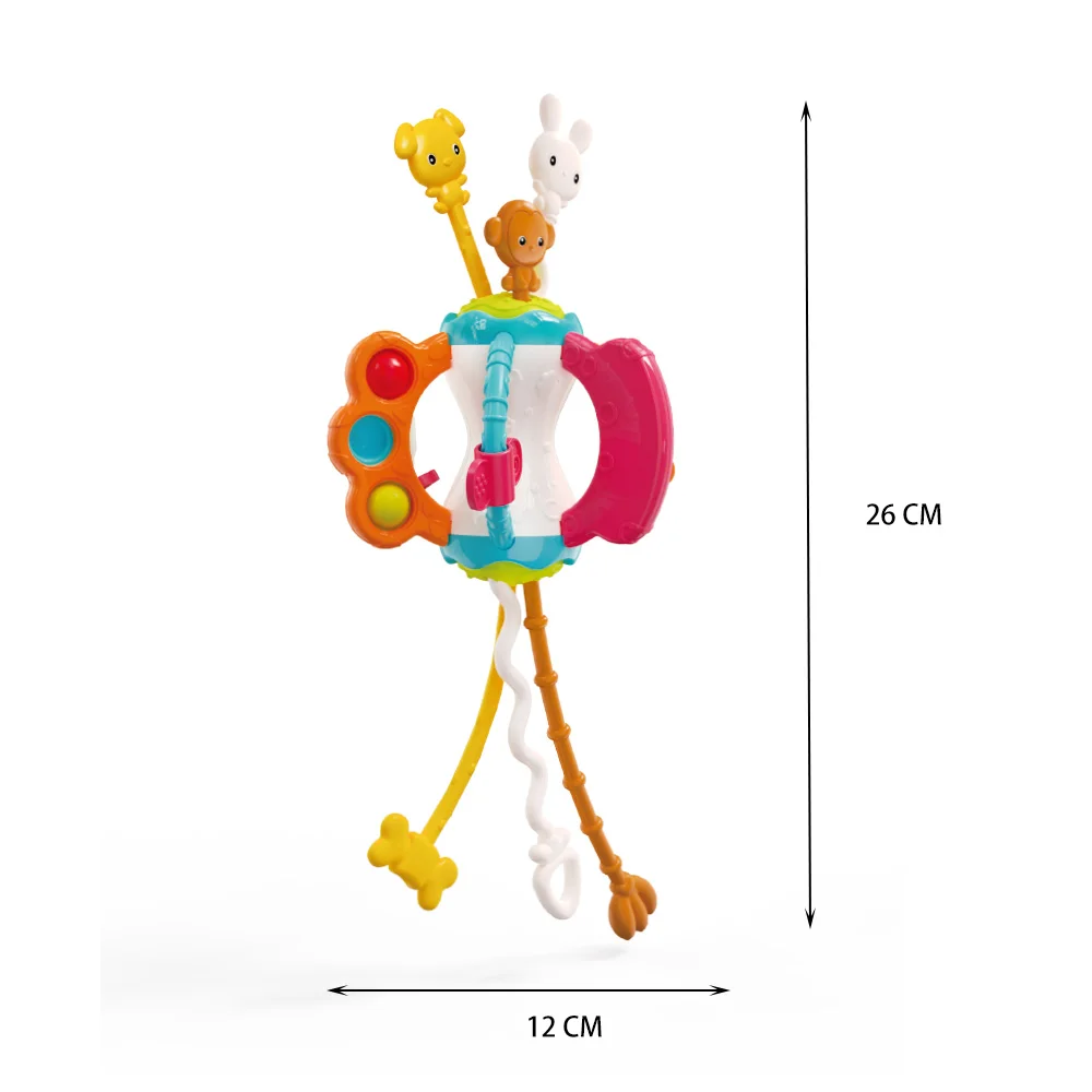 Montessori Silicone Pull String & Travel Activity Set Teether Rattle Toy for Babies 6-12 Months
