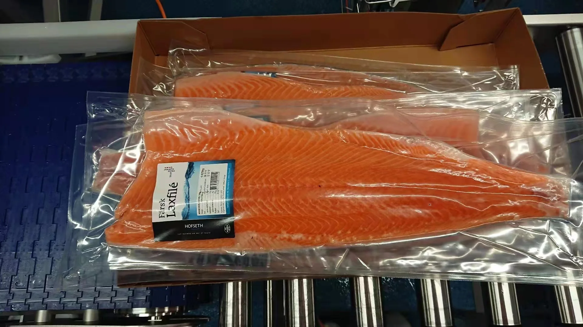 Chum Salmon new season