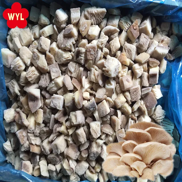 Hot selling IQF Fresh premium mushroom frozen oyster mushroom
