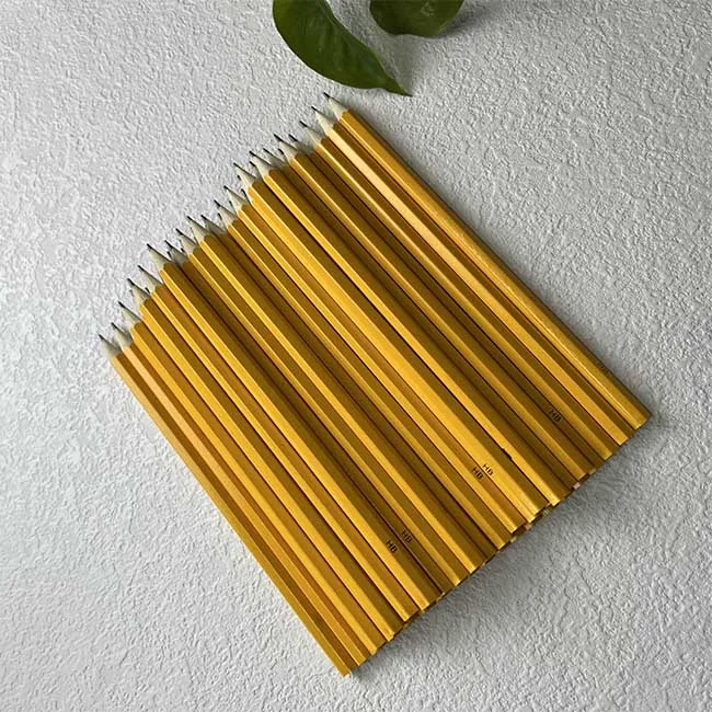 Customized Sprout Colour Pencils Forget me not Made from Certified Wood Plantable Pencil