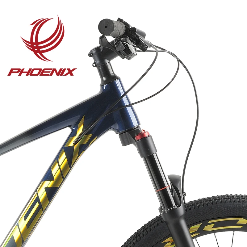 Phoenix Bicicletas Mountain Bike 29 Inch Aluminum Alloy Frame Customized MTB Bicycle