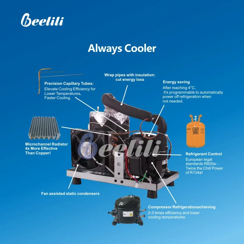 Beelili Water Cooler wholesale hot and cold portable drinking  desktop Filter system water dispenser for home