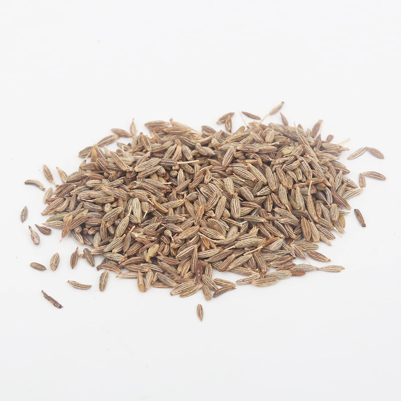 Wholesales bulk Natural Steam treatment Spice dried fennel Seeds of Cumin seed