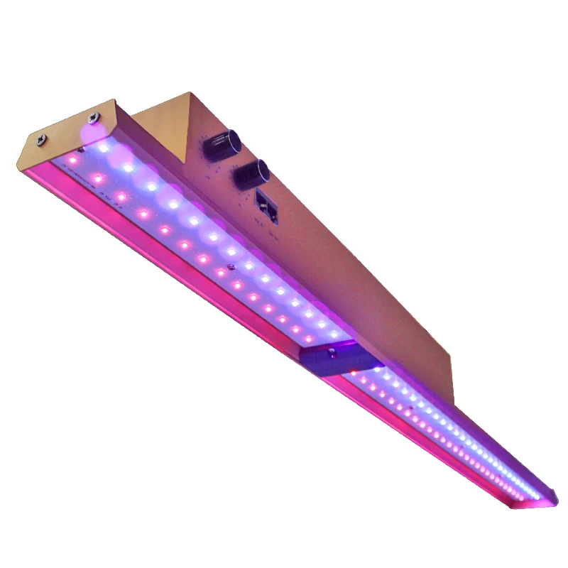 900w cheap bloom gavita pro 1700e 1000watt veg 600watt uvb vertical uv high power custom shenzhen 2021 foldable powerful led gro