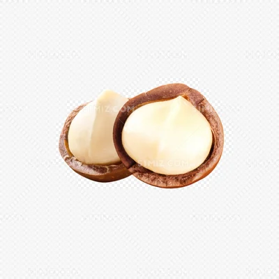 Macadamia Nuts with Best Quality Cheap Price and Delicious Without a shell Chinese Macadamia Nuts