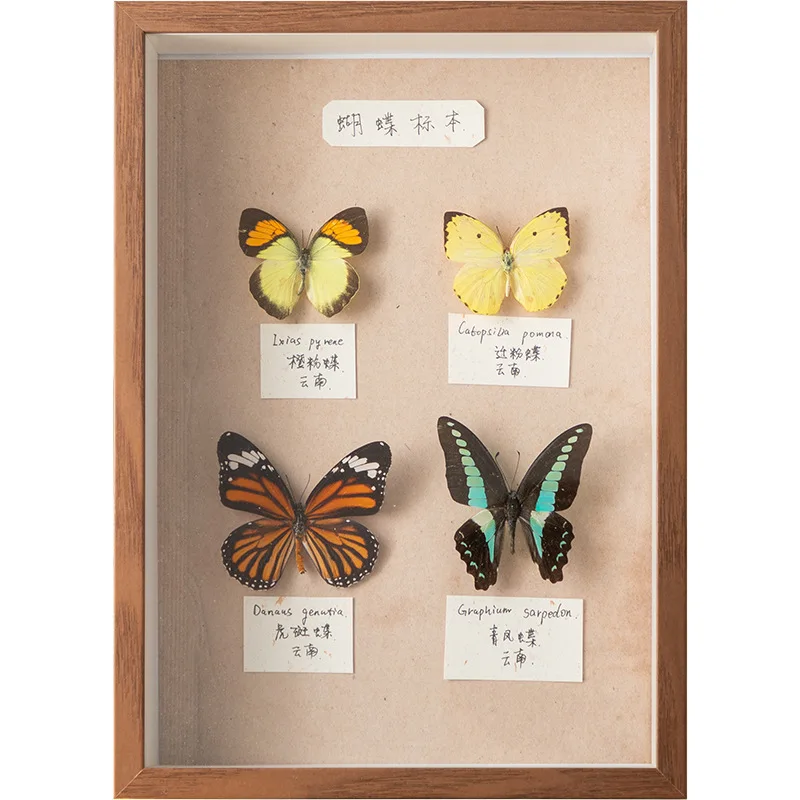 Полый 5 см стеклянный образец рамка для картины ручной работы бабочка дисплей для хранения Сделай Сам фоторамка сушеный цветок рамка для хранения