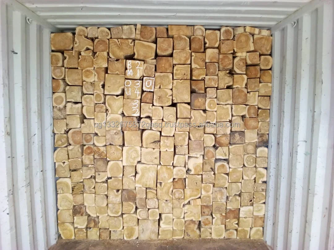 1/2  Birch Wood Logs & Lumber For Sale , West Africa Timber Logs , Cheap Hardwood Logs