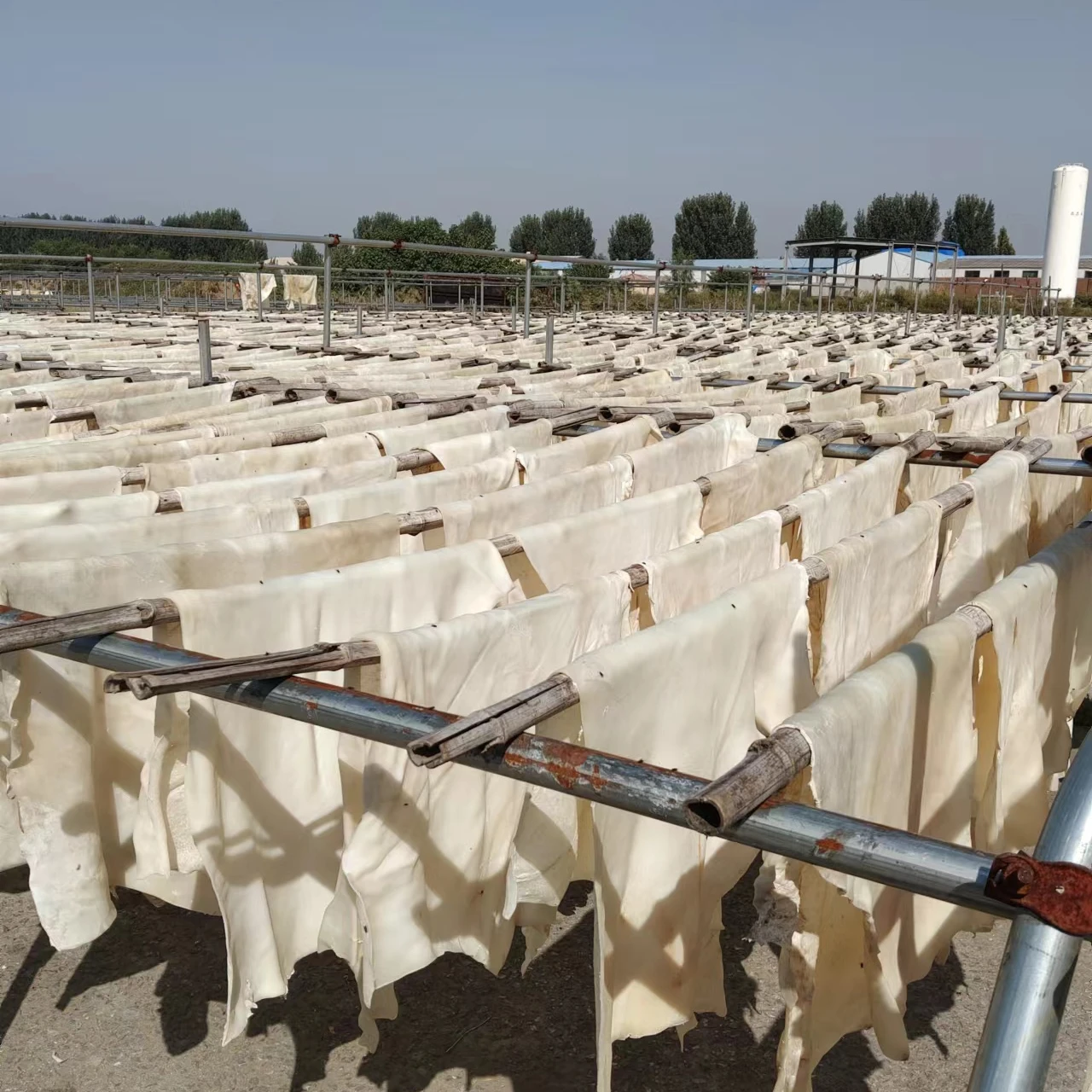 2022 Wholesale Cow Skin Split for Muslim Food Ponmo (1600626550007)