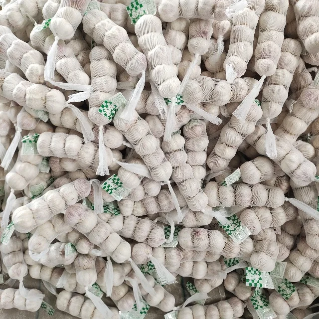 2024 Garlic Import Trade China White Garlic Fresh Garlic For Sale Export Egypt 5.0cm 5P