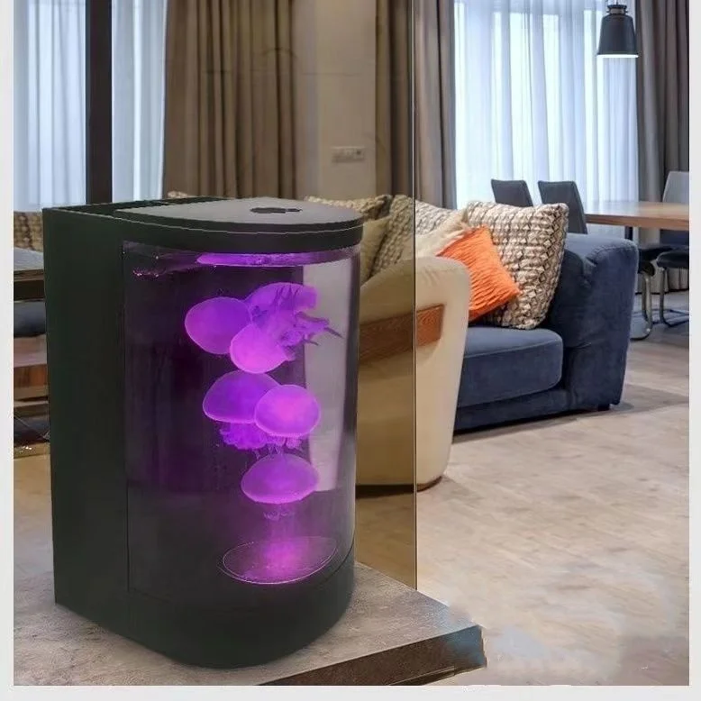 Modern LED RGB Acrylic Jellyfish Tank USB Rechargeable Night Light Hot Selling Small to Large Sizes for Bedroom Power via Touch