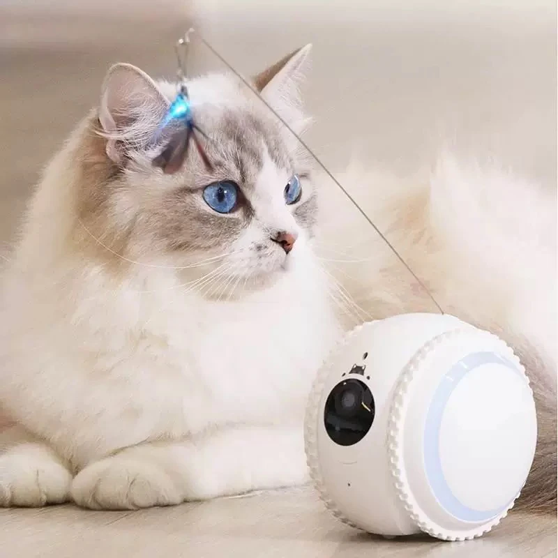 Робот AI интерактивный катящийся шар с камерой FHD экологически чистая Умная игрушка для жевания кошек и собак