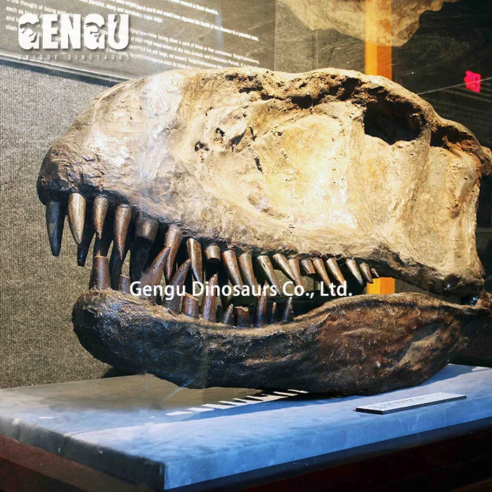 For Exhibit Dig Out Dinosaur Skull Dinosaur Bone Replica