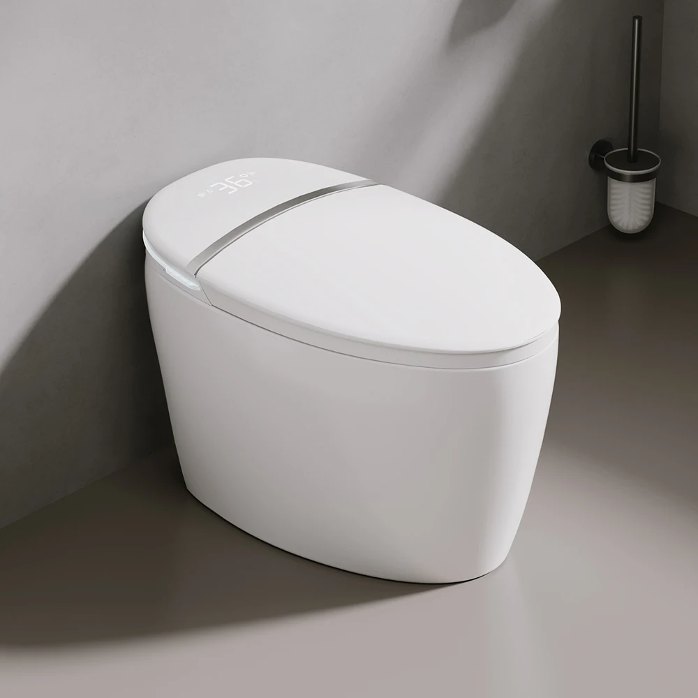 Automatic Ceramic Self Cleaning Bathroom Egg Shape Smart Toilet Intelligent Sanitary Ware Bidet Toilet Bowl