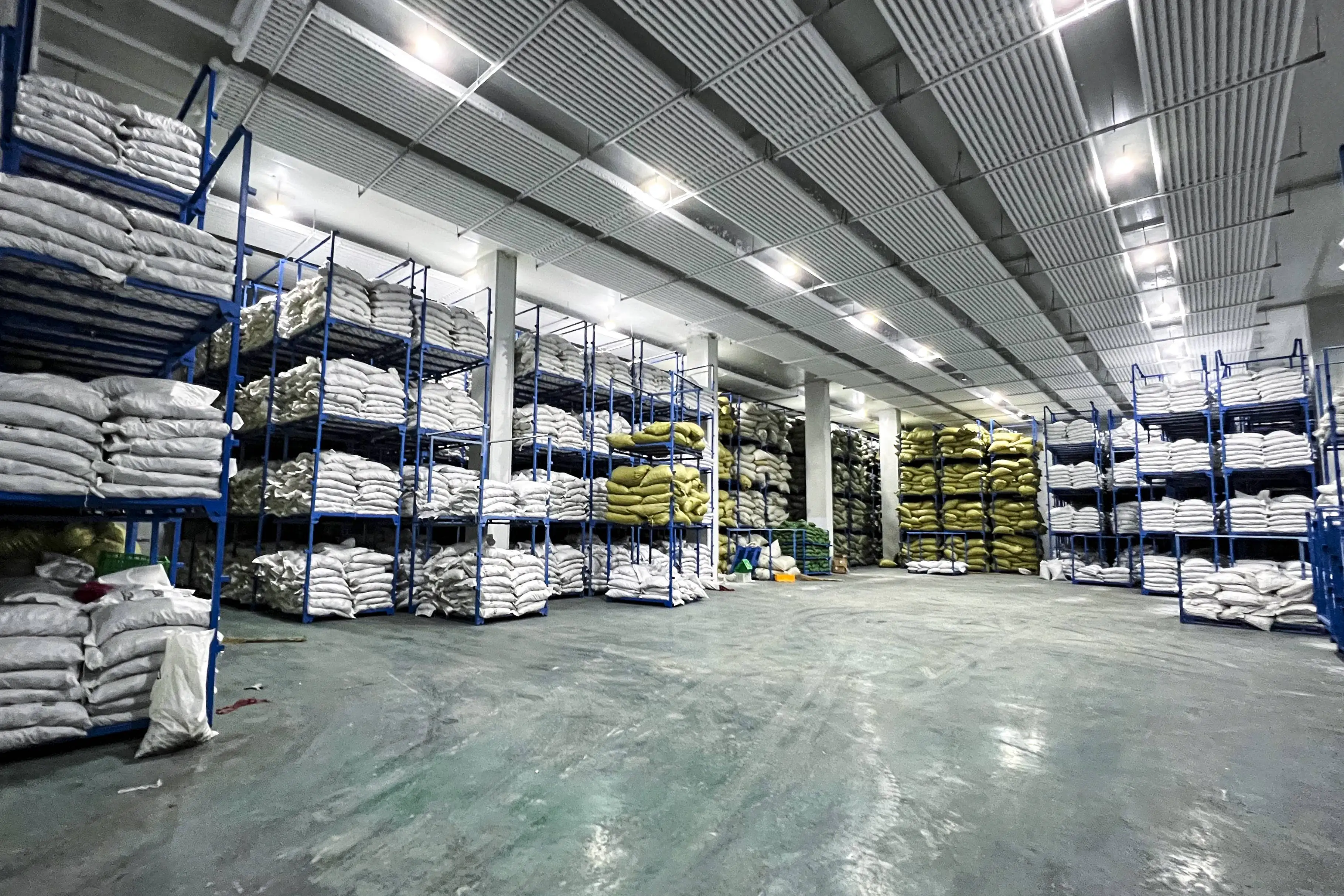 High quality Chinese chili peppers spicy taste Thousand gold red chili fresh frozen chilis in supply