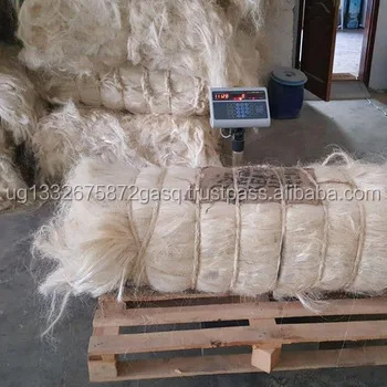 100% Natural sisal fiber/UG fibre /bleaching fiber for Gypsum