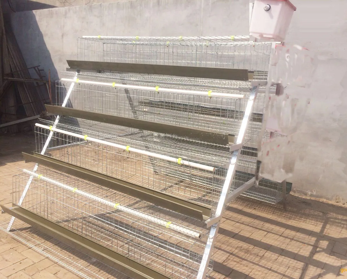 factory sale layer egg chicken automatic chicken cage with CE