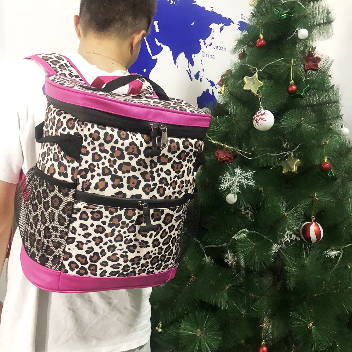 2024 рюкзак с леопардовым принтом