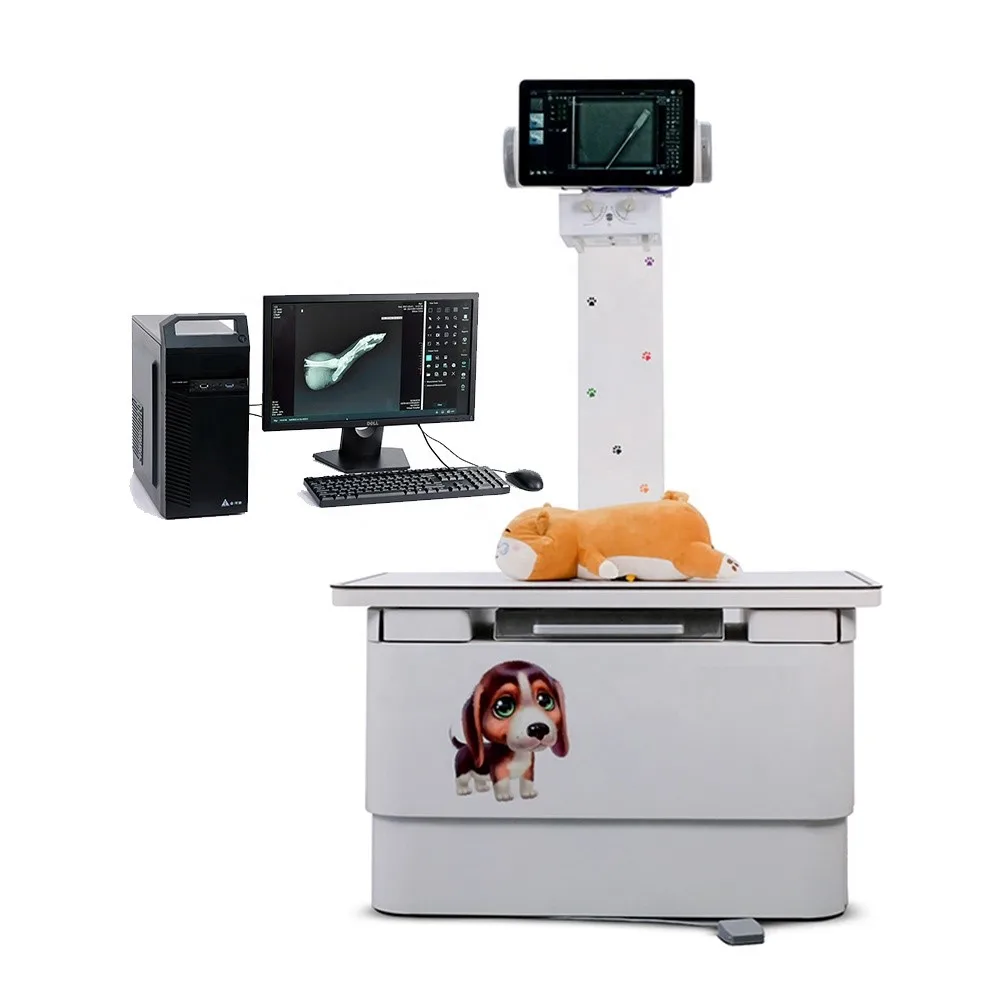 Portable X-ray Machine 5kw Veterinary Ray X 4KW High Frequency