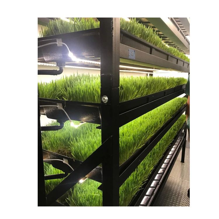 Глобальный экспорт популярной влаги 14% макс корм для ячменя животных 25 кг pp мешки готовы к немедленной