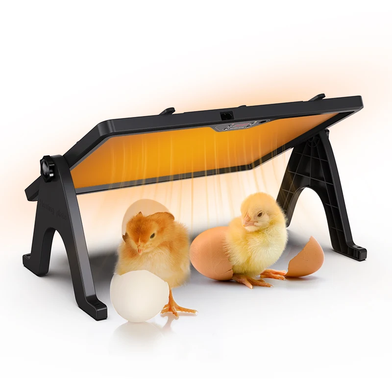 Wholesale poultry electric brooder heater for chick heating plate heater egg incubation breeding