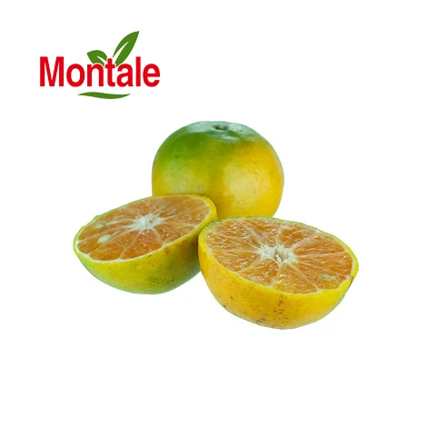Montale свежий сладкий мандарин, оптовая продажа, сочный сахар, оранжевый