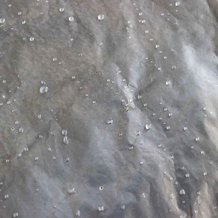 Custom Man and Woman Biodegradable disposable thick PLA apron Eco Friendly Compostable Apron