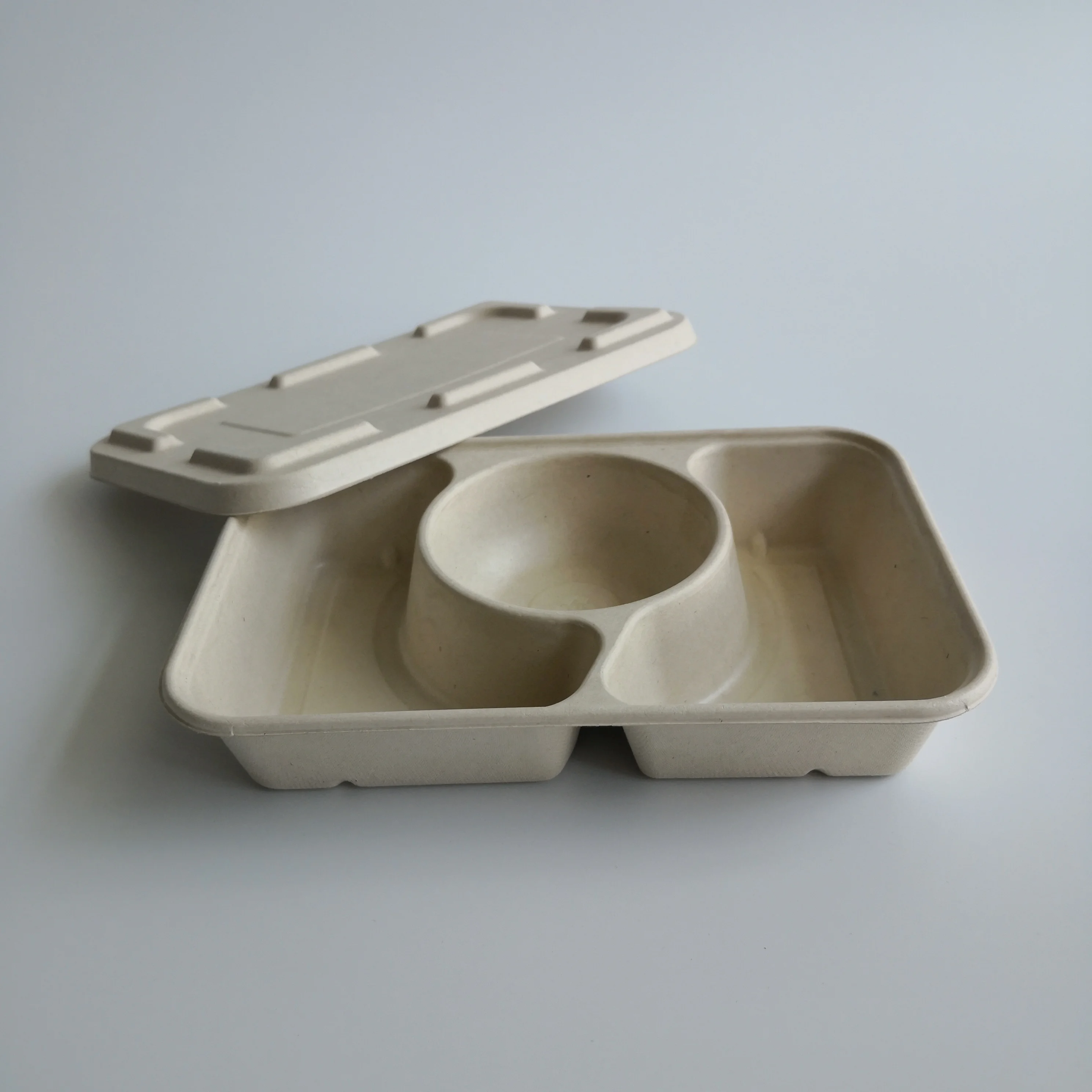 Bagasse 3 Compartment Pasta Paper Tray Fibre Tray Lunch Tray With Lid Paper Plate Supplier Fast Food Dish Fast Food Plates