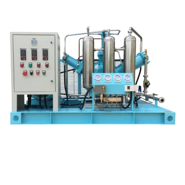 100% Pure Oil-free  Diaphragm Gas Booster Oxygen Filling Compressor