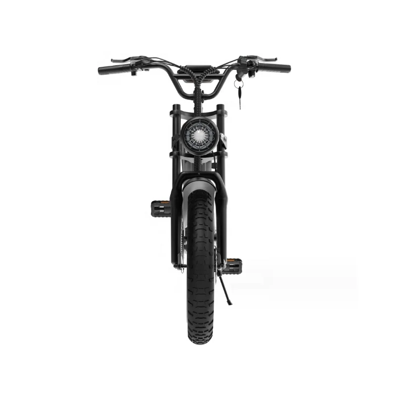 new energyelectric vehicle  by manufacturers/2023 two wheeled electric bicycles