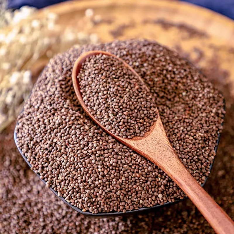 Wholesale new goods perilla seed brown northwest perilla seed china