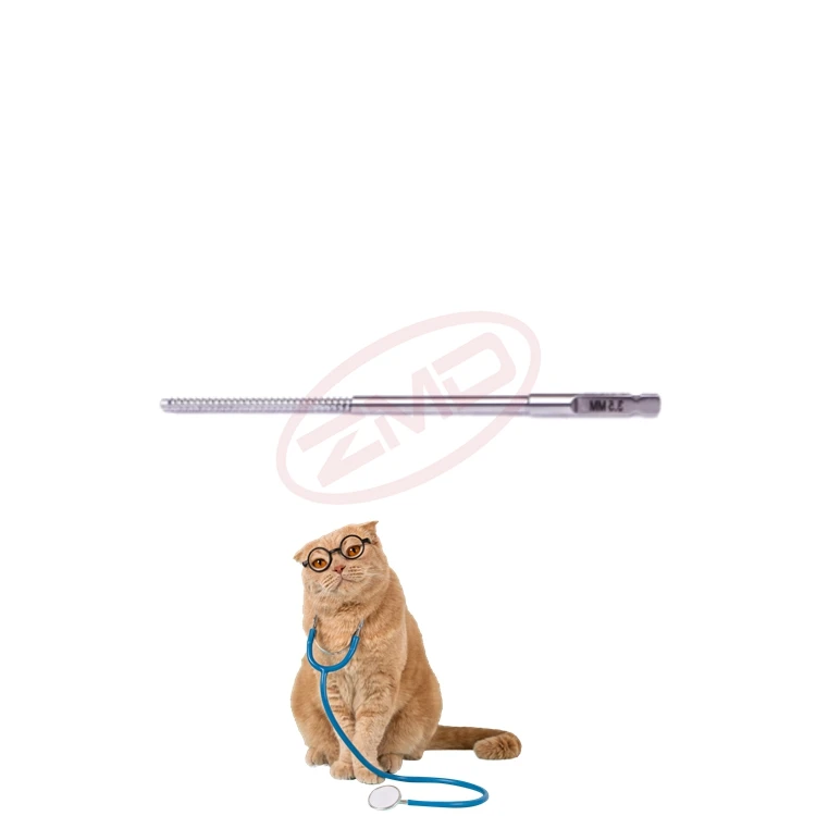 ZMD Orthopedic Trauma Quick Coupling AO Instrument T6/8/15 Screw Driver Surgical Properties