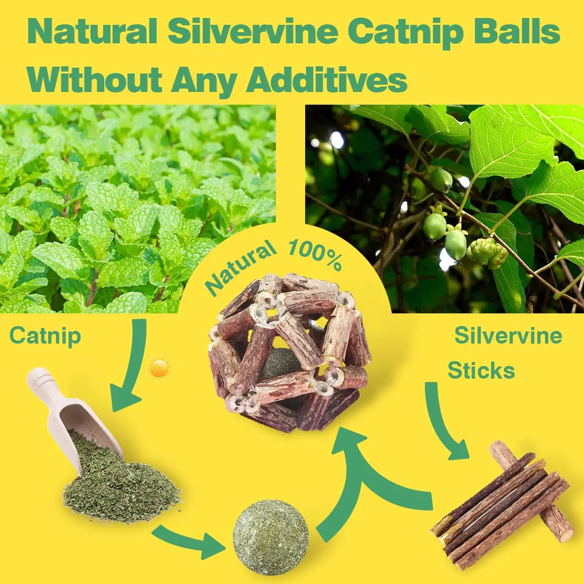 Petdom Catnip Natural Silvervine Stick Bell Ball For Indoor Cleaning Teeth Molar Tools Chew Toy Kitten Scratcher Mint Cat Toy