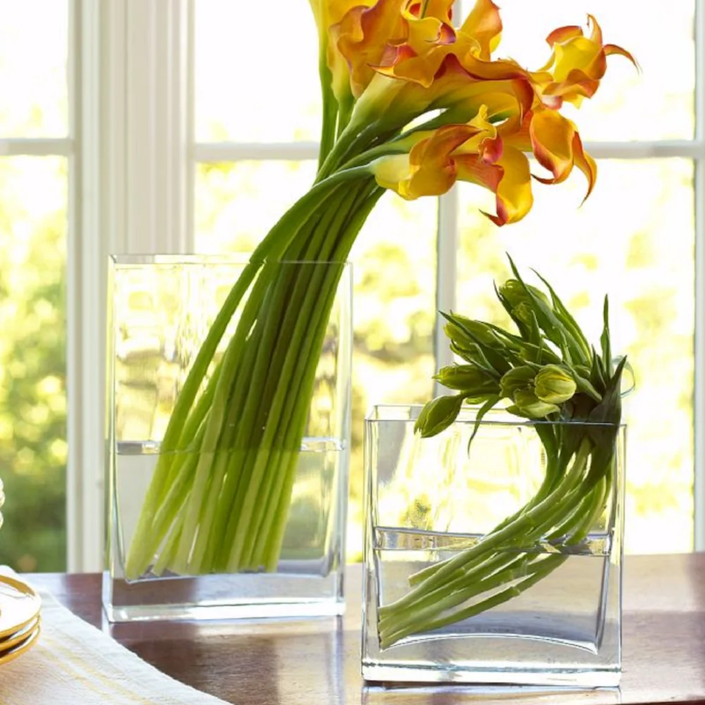 Aeofa Transparent square Vase ornament of glass hydroponic container square glass vase