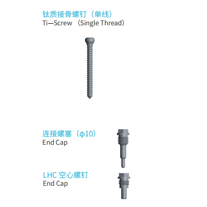 Competitive Price CE Marked  PFNA Femoral and  Reconstructional Intramedullary Nail